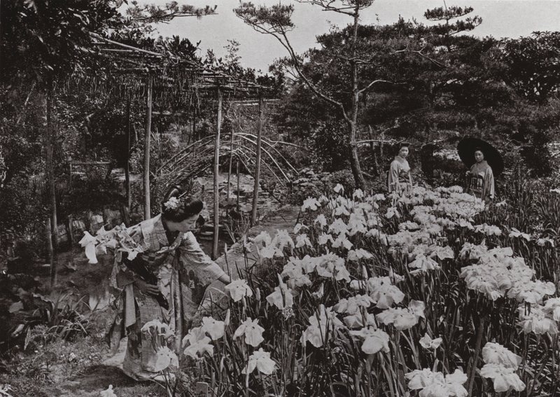 Au jardin d