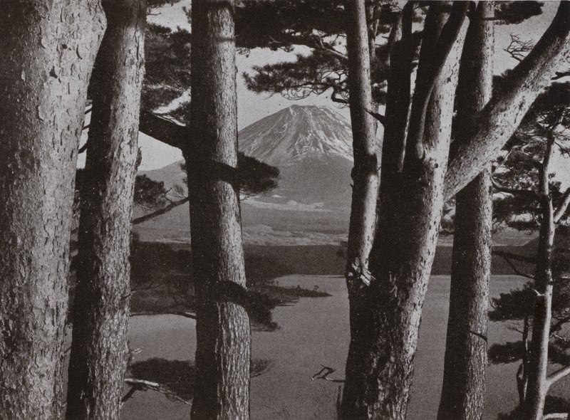 Fuji à travers les pins (photo n/b) - Herbert Ponting