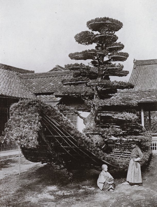 Le bateau en pin au Kinkakuji - Herbert Ponting