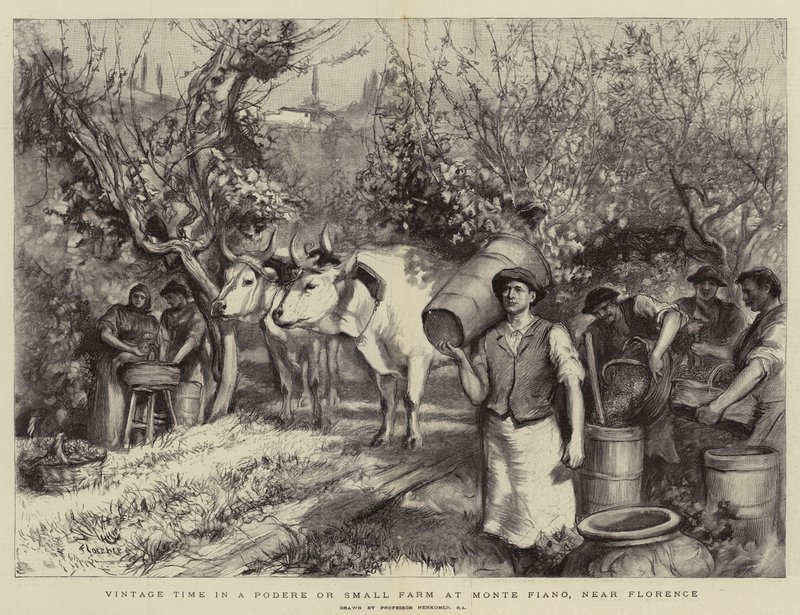 Temps des vendanges dans un podere ou petite ferme à Monte Fiano, près de Florence - Hubert von Herkomer