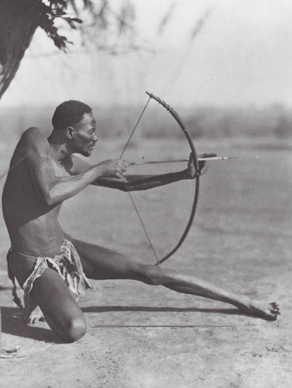Afrique : Archer Djur oriental - Hugo Adolf Bernatzik