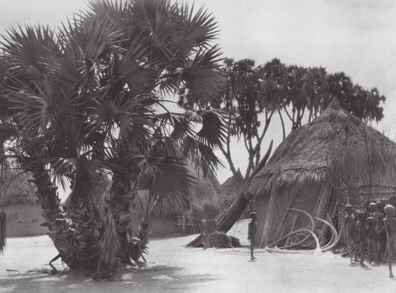 Afrique : Village Shilluk sur le Nil Blanc - Hugo Adolf Bernatzik