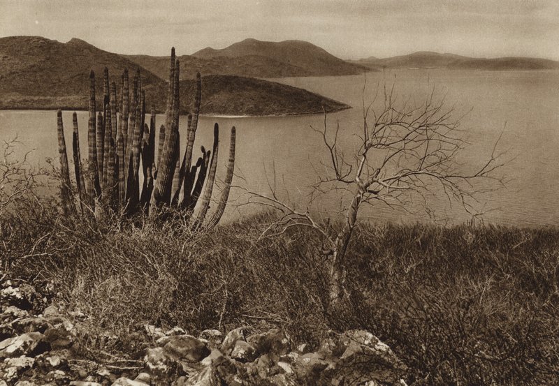 Mexique : près de la côte de Baja California (photo n/b) - Hugo Brehme