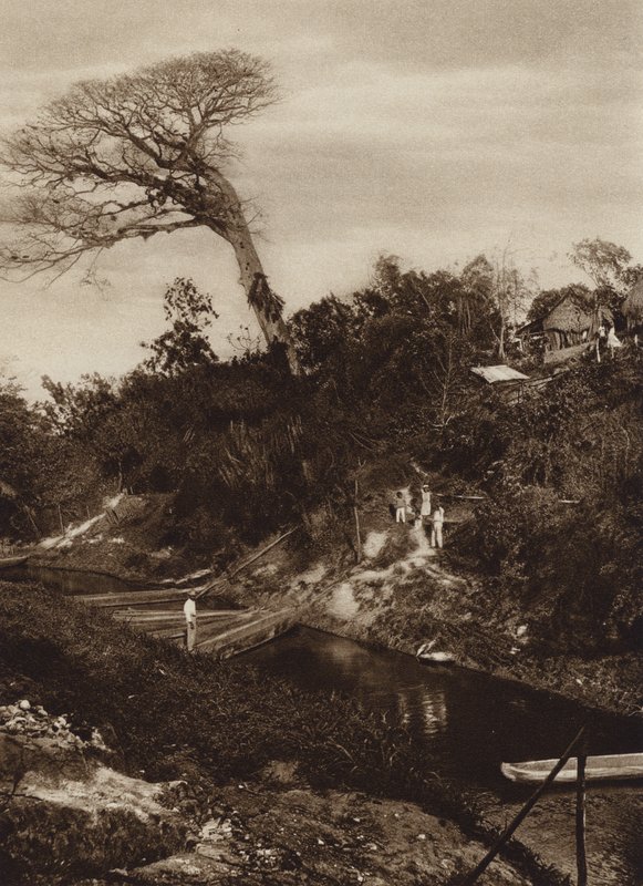 Mexique : Panorama d