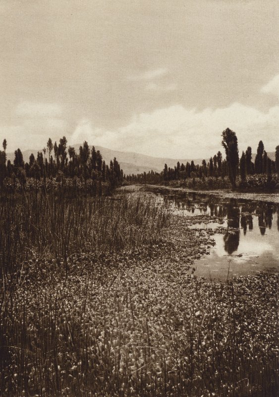 Mexique : Xochimilco, l
