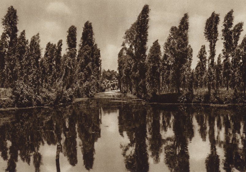 Mexique : Xochimilco avec les "jardins flottants" (photo n/b) - Hugo Brehme