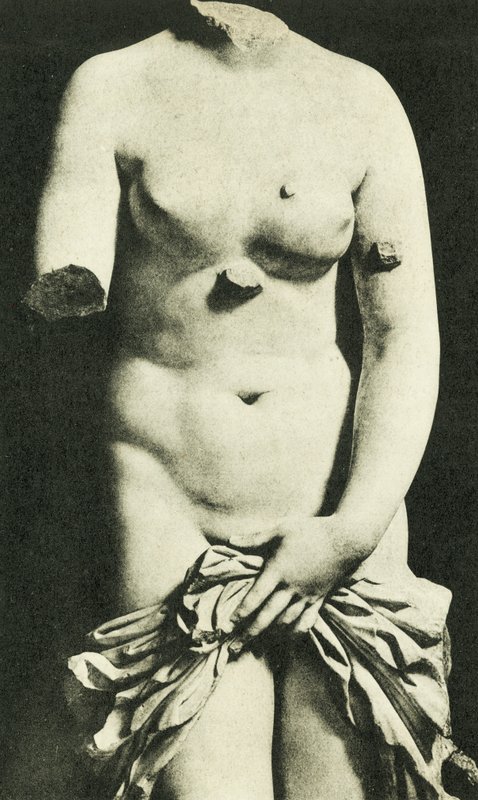 Musée, La Vénus syracusaine, IIIe siècle av. J.-C. Credesis (photo n/b) - Italian Photographer