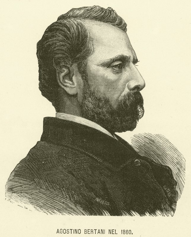 Agostino Bertani Nel 1860 (gravure) - Italian School
