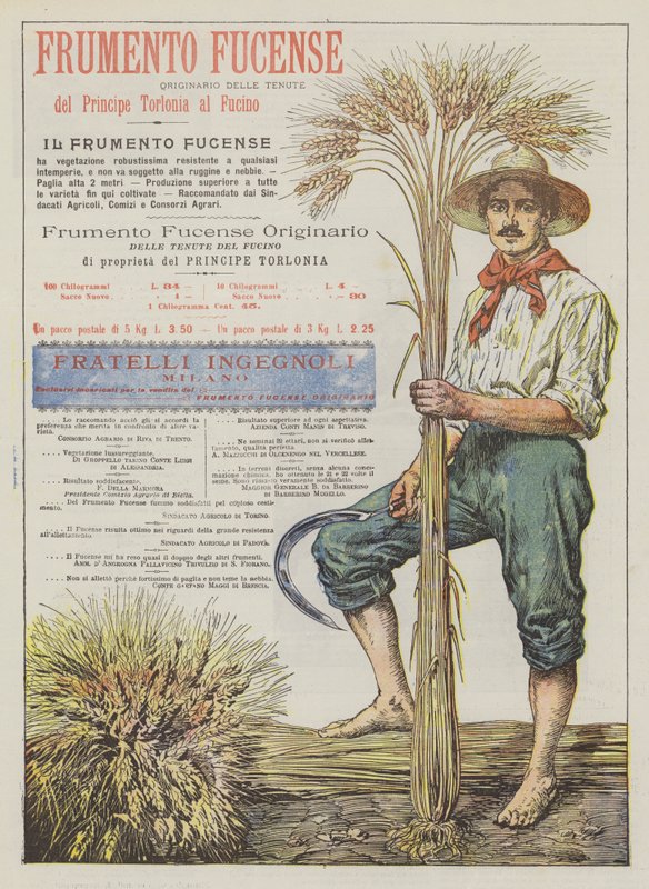 Frumento Fucense - Italian School