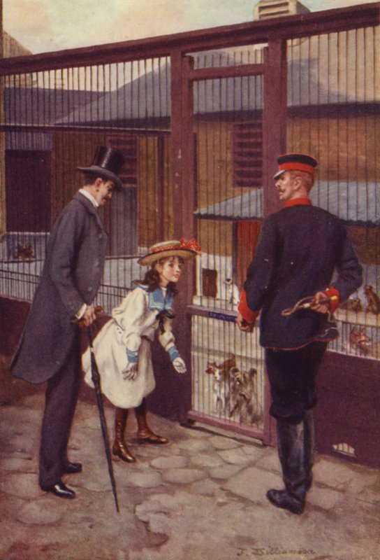 Ethel trouve Scamp - J. Williamson