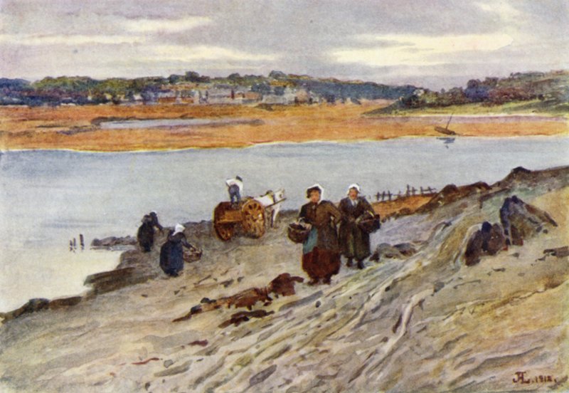 Récolte d