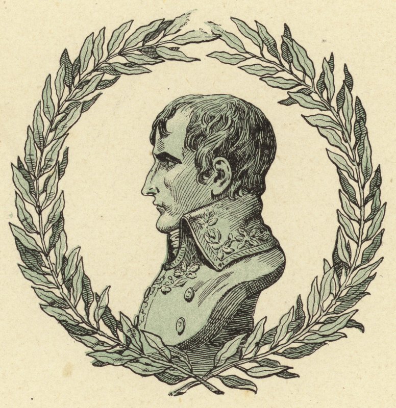 Buste de Napoléon Bonaparte - Jacques Marie Gaston Onfray de Breville (Job)
