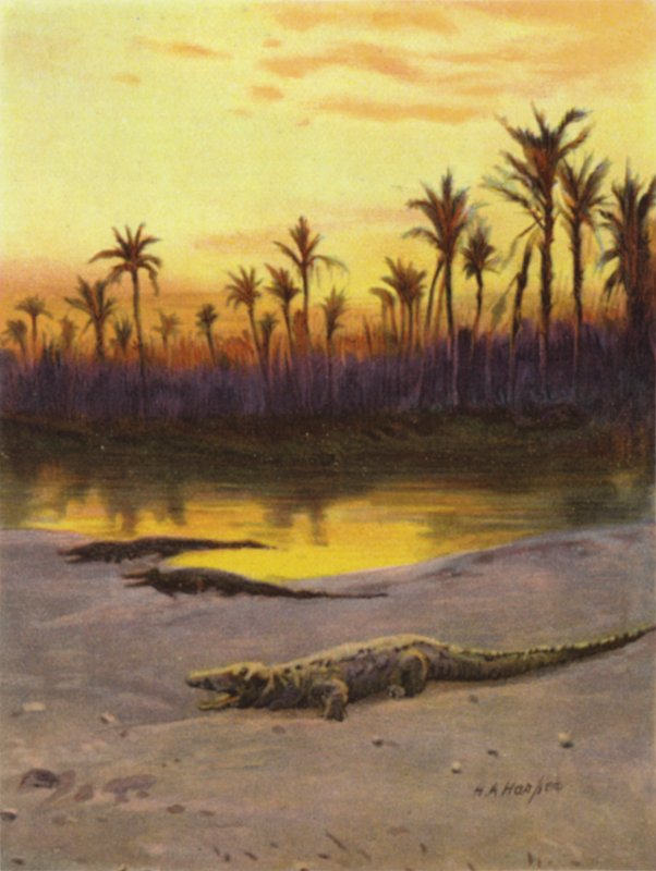 Crocodile (coucher de soleil) sur la rive du Nil supérieur - James (after) Clark