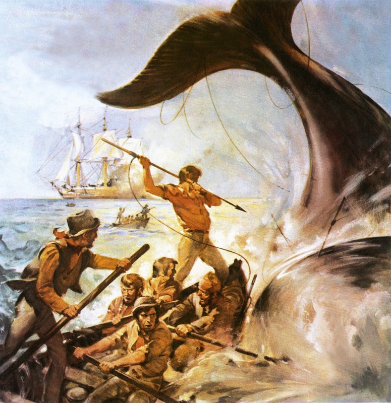 Peter le baleinier - James Edwin McConnell
