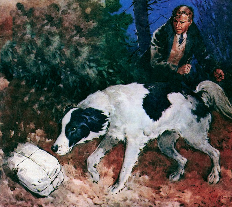 Pickles, le chien de la Coupe du monde (lithographie couleur) - James Edwin McConnell