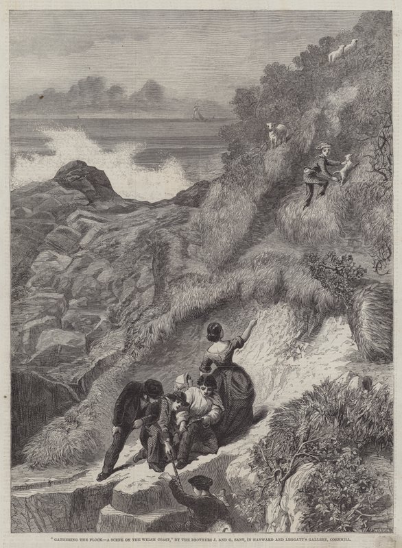 Rassemblement des troupeaux, une scène sur la côte galloise - James Sant