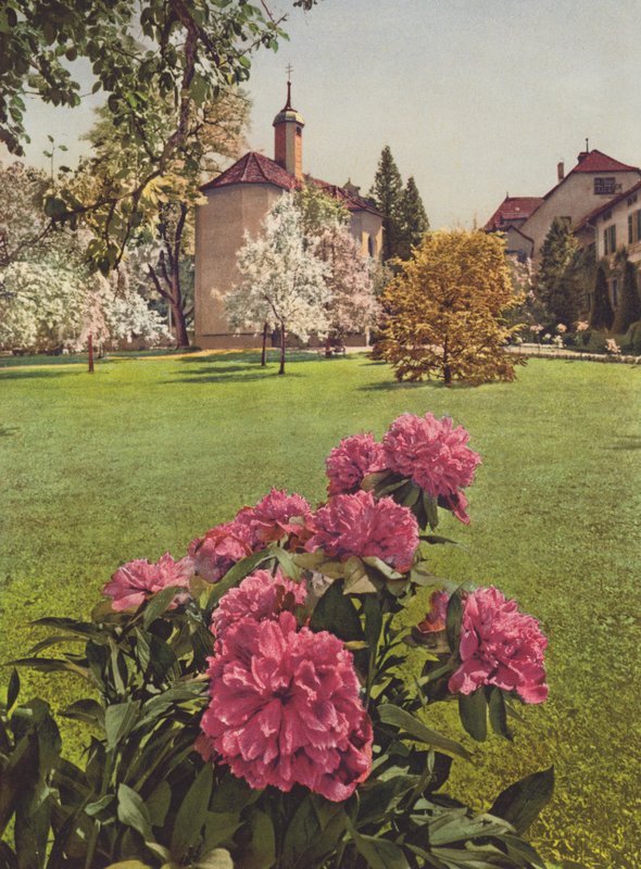 Suisse: Mammern sur le lac de Constance, dans les jardins du sanatorium - Jean Gaberell