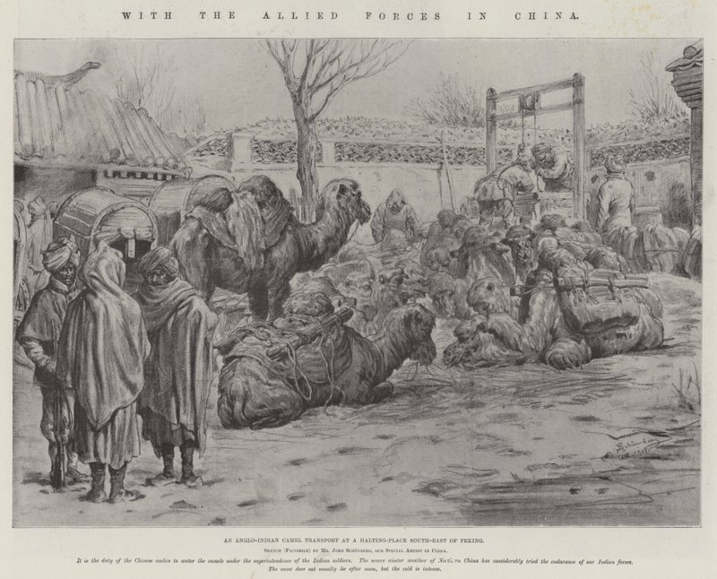 Avec les forces alliées en Chine - Johann Nepomuk Schonberg