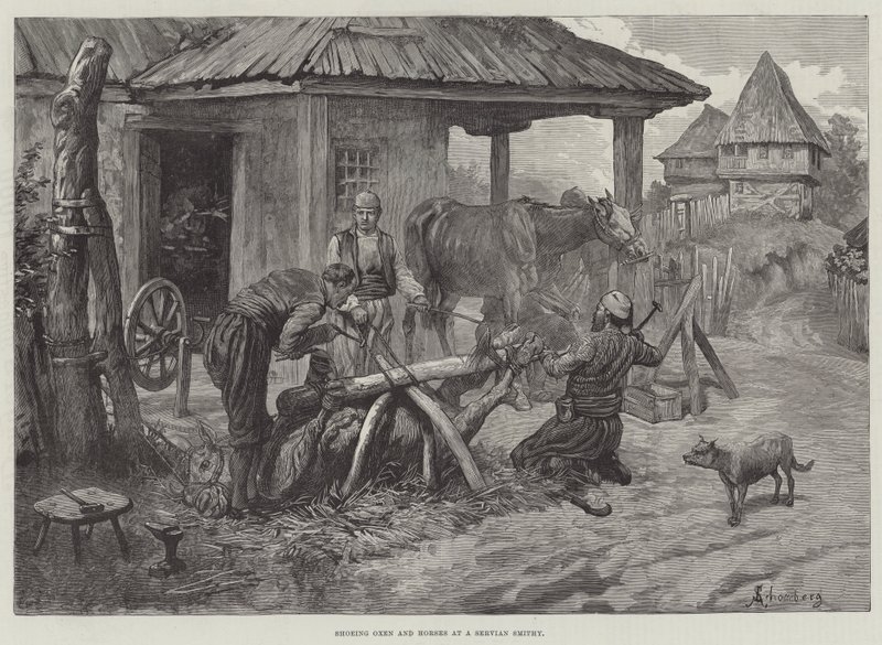 Ferrage de bœufs et de chevaux dans une forge serbe - Johann Nepomuk Schonberg