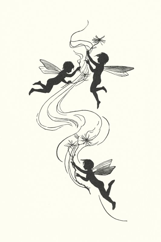 Silhouette de Johanna Beckmann - Johanna Beckmann