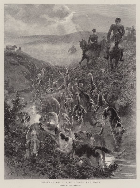 Chasse aux renards, une course à travers la lande - John Charlton