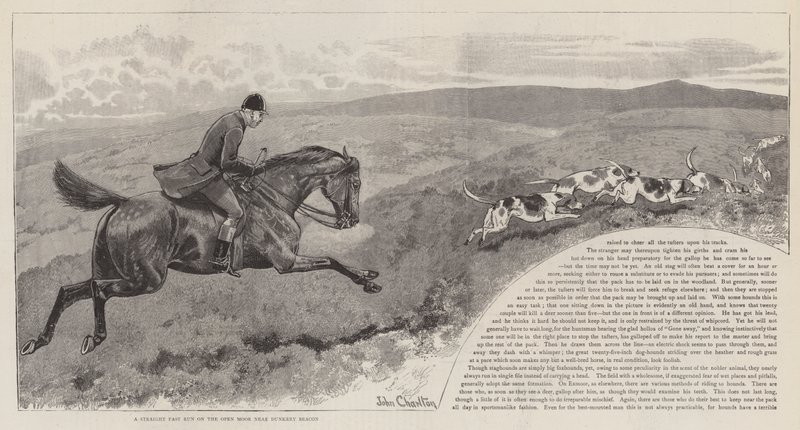 La chasse au cerf rouge sauvage sur Exmoor - John Charlton