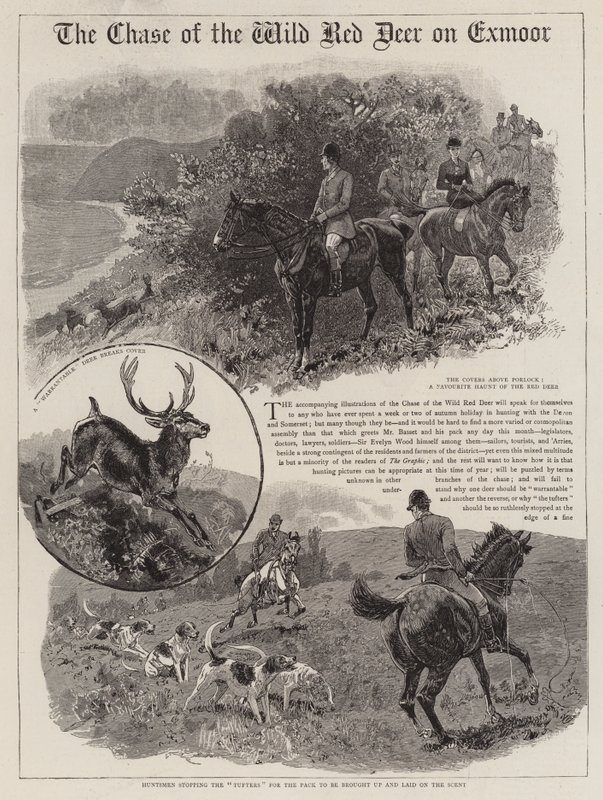 La chasse au cerf rouge sauvage sur Exmoor - John Charlton