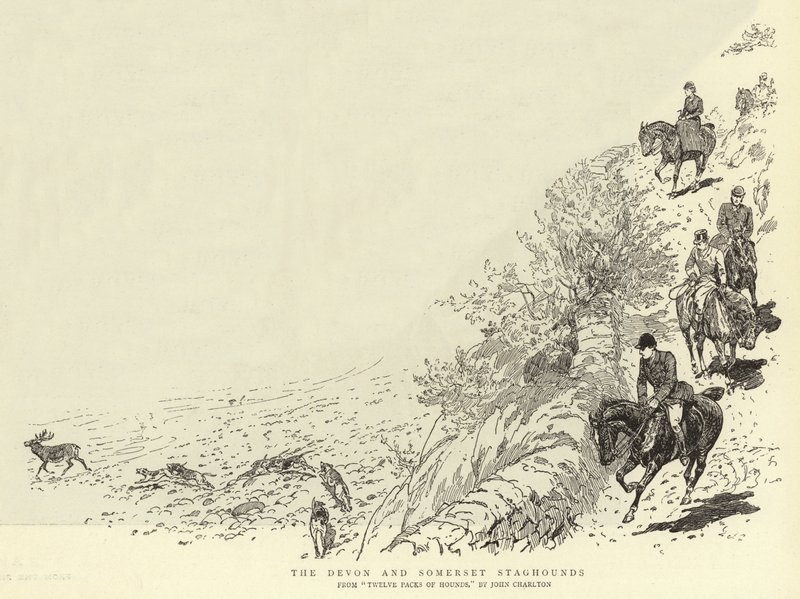 Les chiens de chasse du Devon et du Somerset - John Charlton