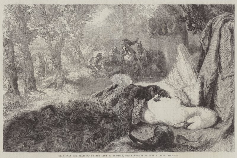 Cygne mort et paon - John Gilbert