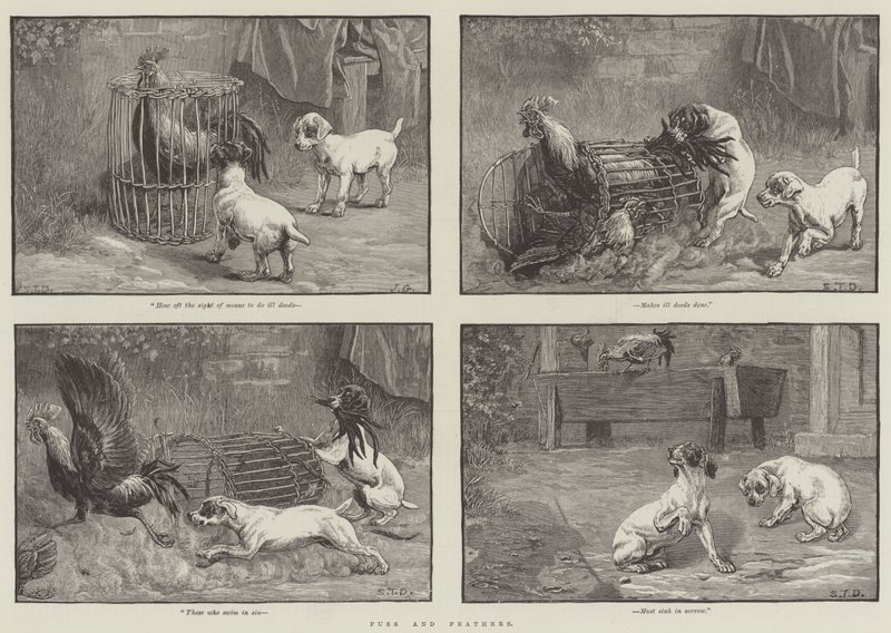 Agitation et plumes - John Gilbert