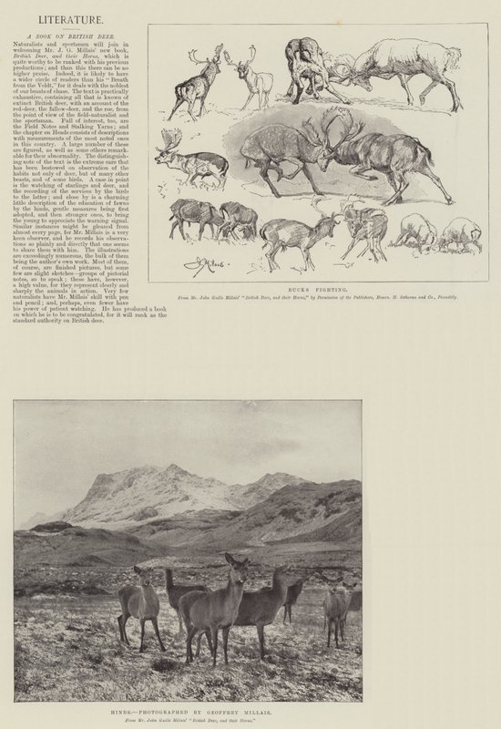 Un livre sur les cerfs britanniques - John Guille Millais