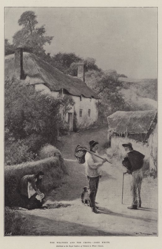 Le Temps et les Récoltes - John White