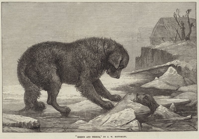 Erebus et Terror - John William Bottomley