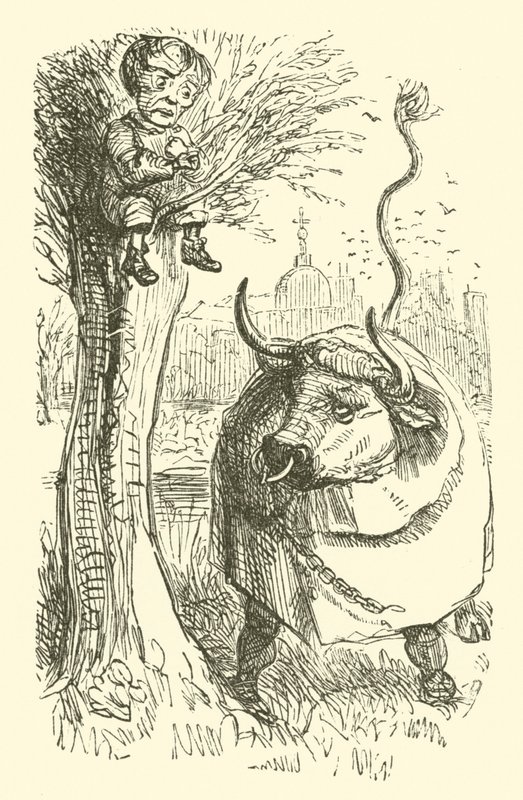 Taureau et garçon - John (after) Leech
