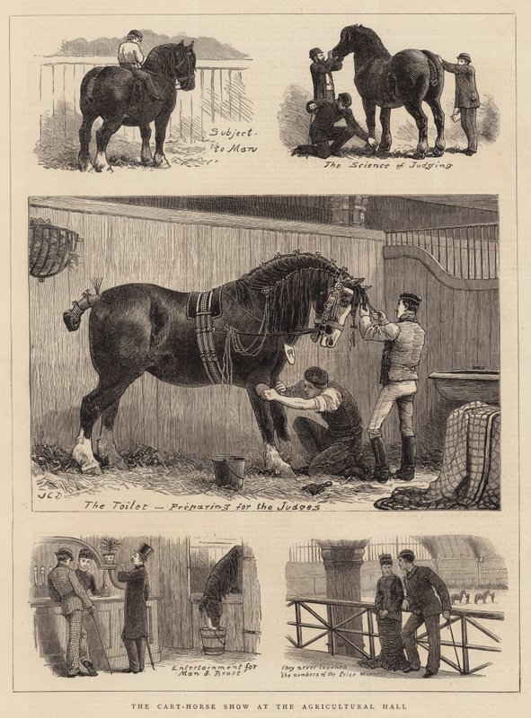 Le Salon des Chevaux de Trait au Hall Agricole - John Charles Dollman