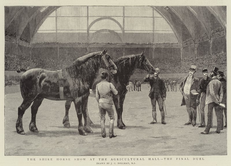 Le concours de chevaux de trait à l