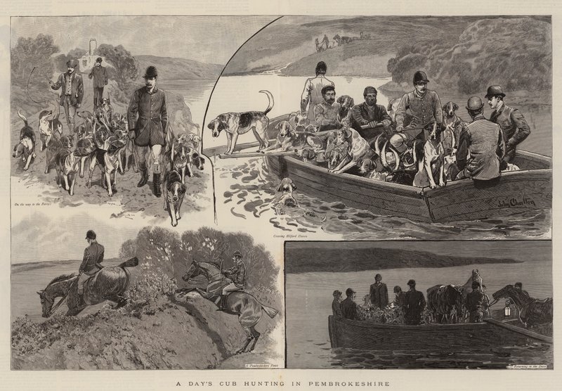Une journée de chasse aux renards dans le Pembrokeshire - John Charlton