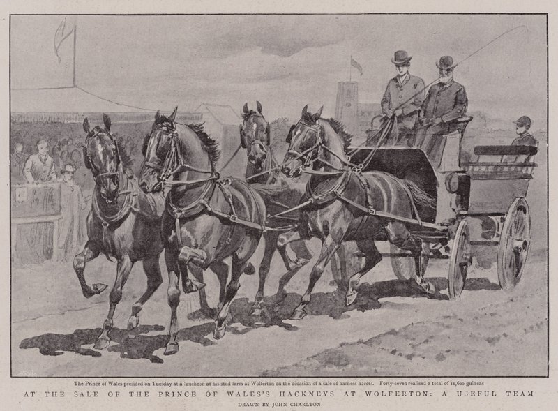 À la vente des Hackneys du Prince de Galles à Wolferton, une équipe utile - John Charlton