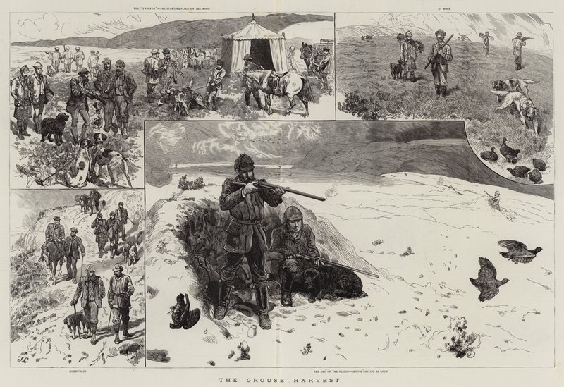 La récolte de grouse - John Charlton