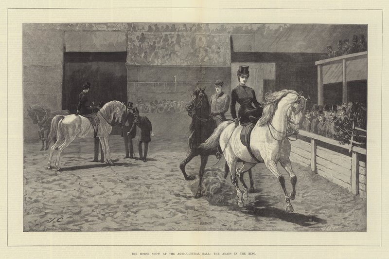 Le salon du cheval à l
