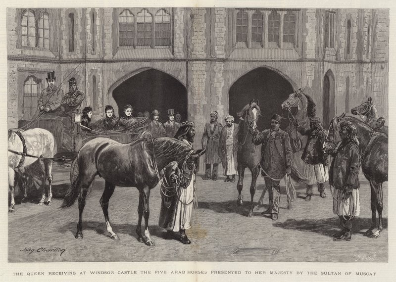 La Reine recevant au château de Windsor les cinq chevaux arabes offerts à Sa Majesté par le Sultan de Mascate - John Charlton