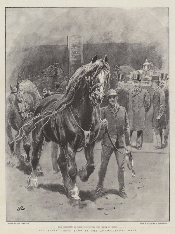 Le Salon du Cheval de Trait à l