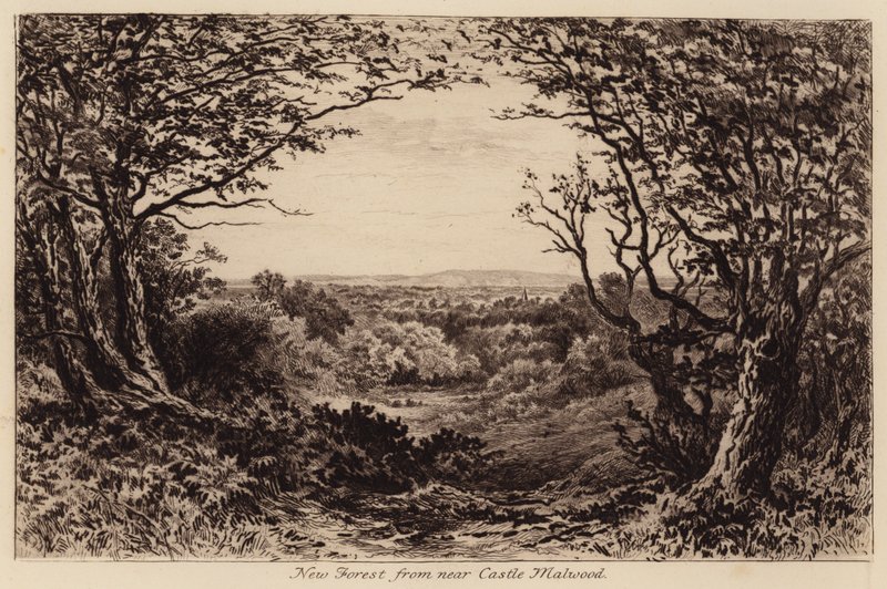 Nouvelle Forêt près du château de Malwood - John Fullwood