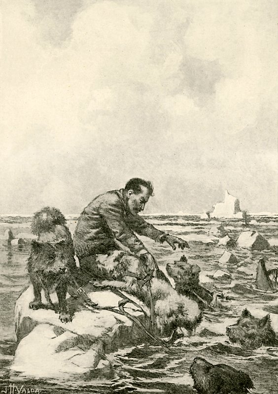 Le Dr Grenfell à la dérive sur un floe de glace - John Harris Valda