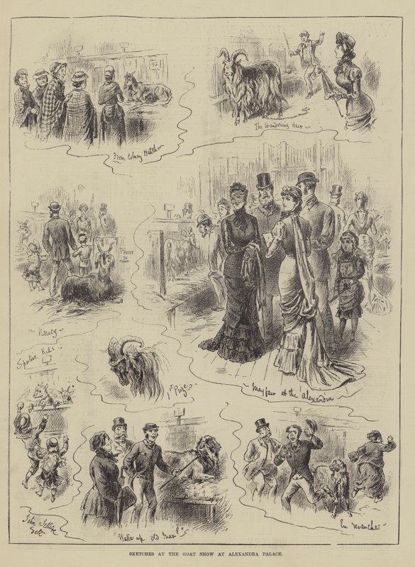 Croquis au salon des chèvres à Alexandra Palace - John Jellicoe