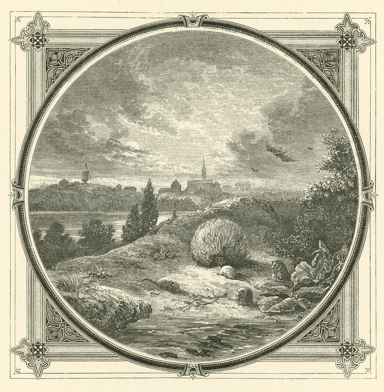 Joue, mais chastement - John Leighton
