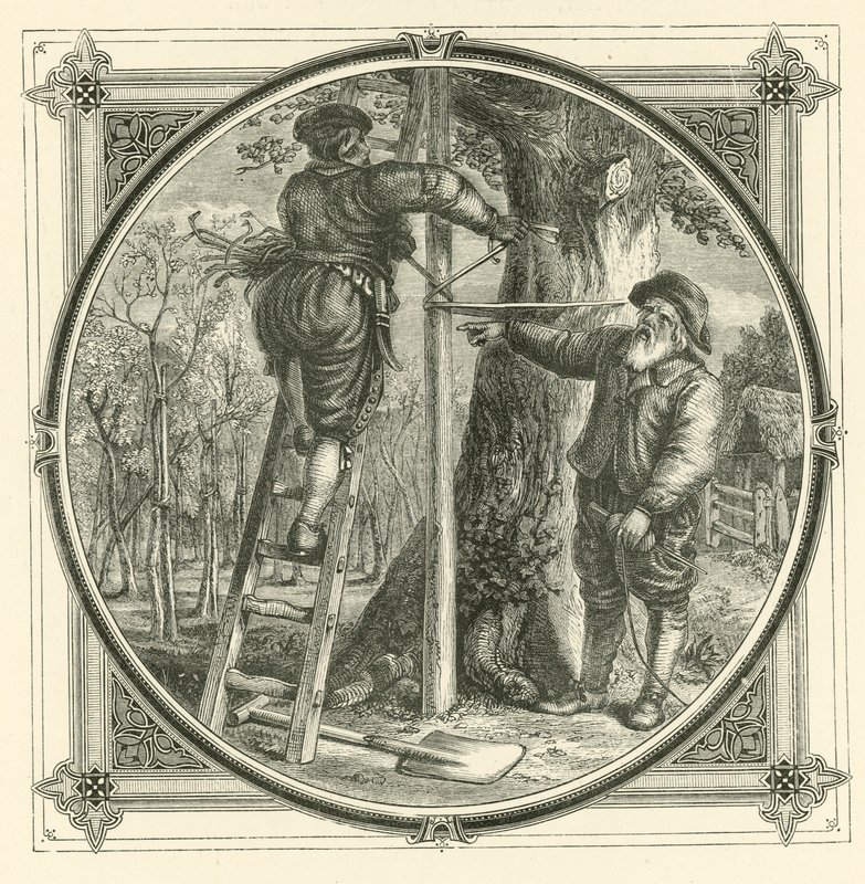 Les branches peuvent être formées, mais pas le tronc (gravure) - John Leighton
