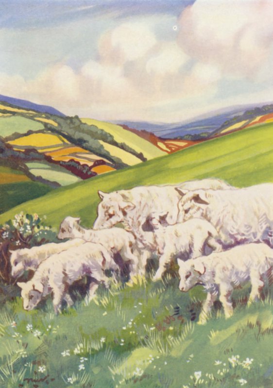 Illustration pour Beautiful Joe de Marshall Saunders - John Nicholson