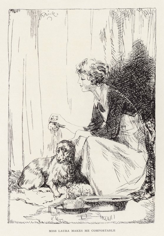 Illustration pour Beautiful Joe de Marshall Saunders - John Nicholson
