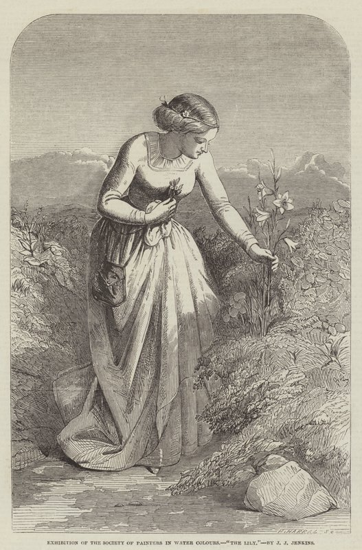 Exposition de la Société des Peintres en Aquarelle, Le Lys - Joseph John Jenkins